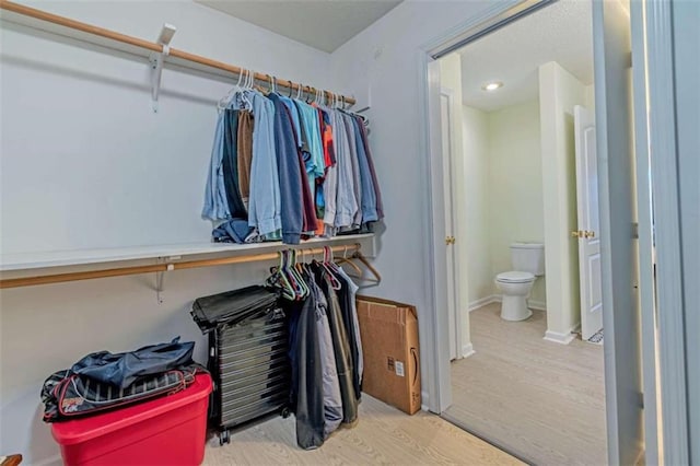 spacious closet with wood-type flooring