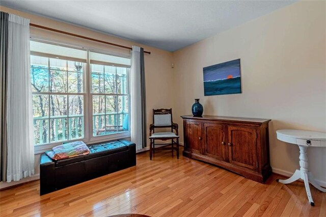 living area with light hardwood / wood-style flooring