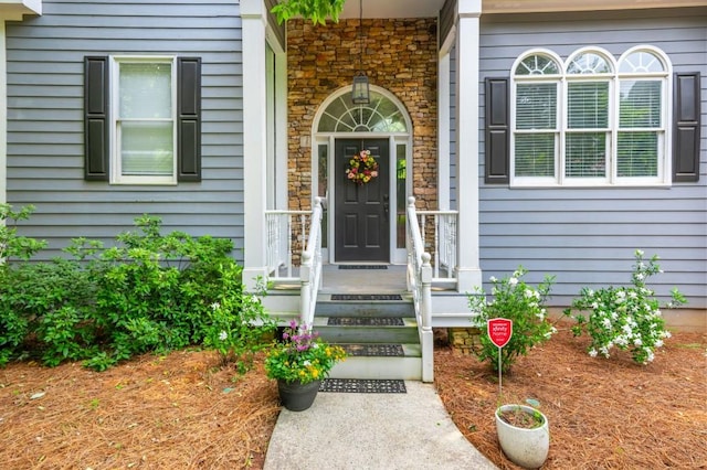 2045 Bethany Spring Trce, Cumming, GA 30041 - doorway to property featuring stone siding