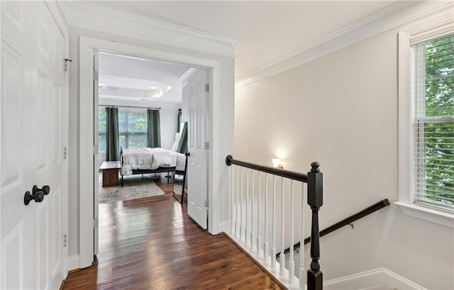 hallway with dark wood-style flooring, ornamental molding, an upstairs landing, and plenty of natural light