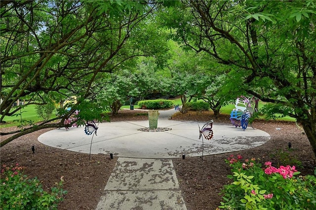 view of community with a patio