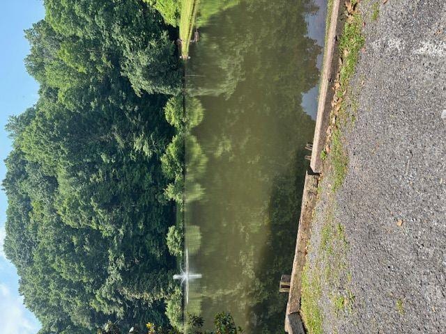 181 Poolside Ct, Ellijay, GA 30540