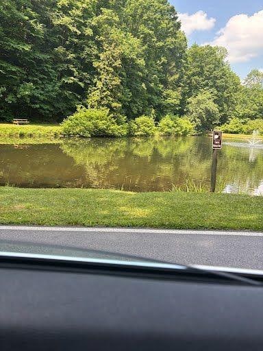 181 Poolside Ct, Ellijay, GA 30540