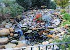 181 Poolside Ct, Ellijay, GA 30540