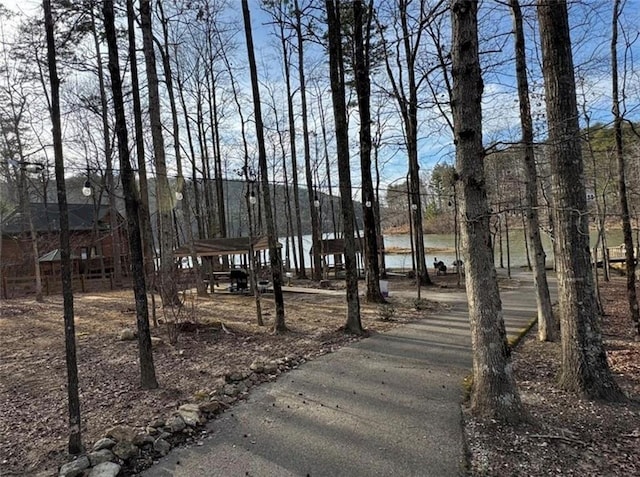 0 Mulberry Cir, Jasper, GA 30143 - view of property's community