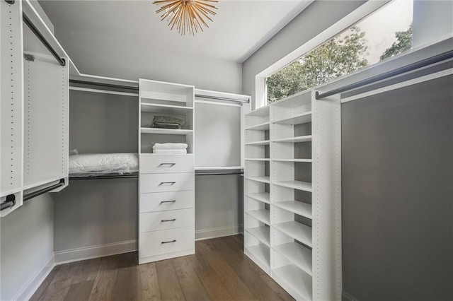 2809 Glenwood Ave SE, Atlanta, GA 30317 - walk in closet featuring dark wood finished floors