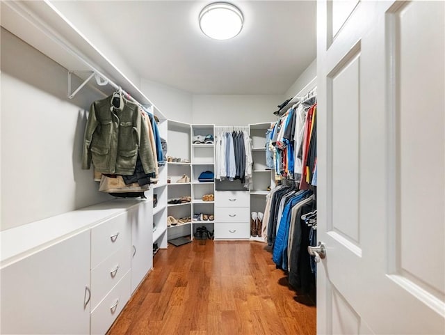 350 Fountain Oaks Ln, Atlanta, GA 30342 - spacious closet featuring light wood-style flooring