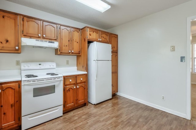 798 Tommy Lee Cook Rd, Palmetto, GA 30268 - kitchen featuring white appliances, under cabinet range hood, light wood-style flooring, and light countertops