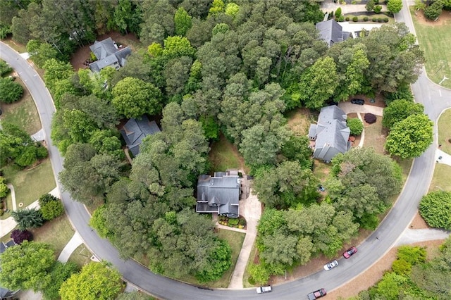 drone / aerial view