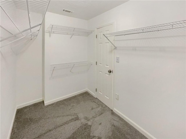 walk in closet with visible vents and carpet