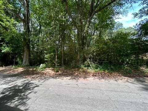 0 Nelms Dr SW, Atlanta, GA 30315