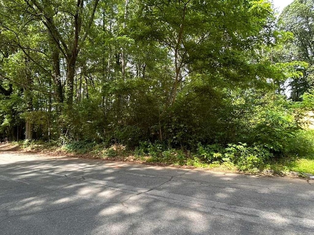 0 Nelms Dr SW, Atlanta, GA 30315