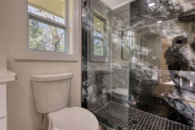 bathroom with vanity, wood-type flooring, and toilet