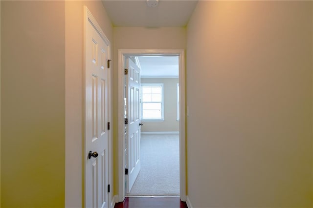 4400 Village Field Pl, Suwanee, GA 30024 - corridor with baseboards