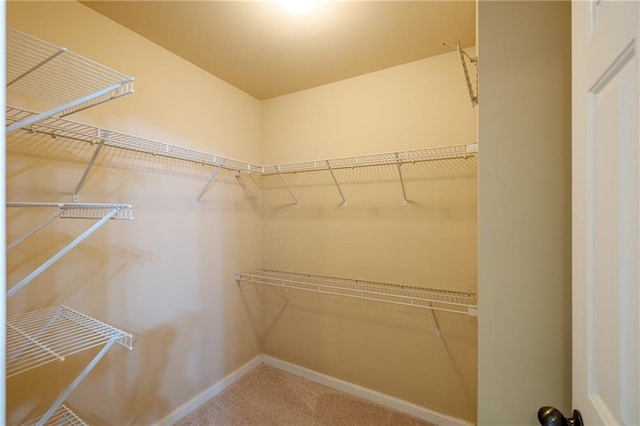 4400 Village Field Pl, Suwanee, GA 30024 - spacious closet featuring carpet flooring