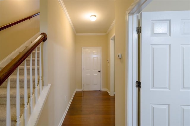 4400 Village Field Pl, Suwanee, GA 30024 - corridor with dark wood finished floors, ornamental molding, baseboards, and stairway