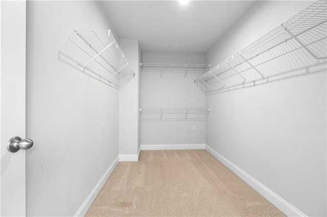 spacious closet with light carpet