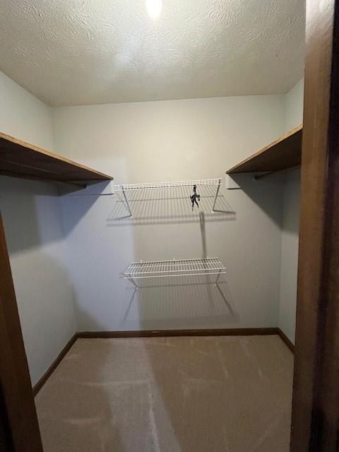 walk in closet featuring carpet floors