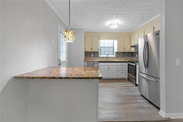 kitchen featuring kitchen peninsula, appliances with stainless steel finishes, pendant lighting, light hardwood / wood-style floors, and sink