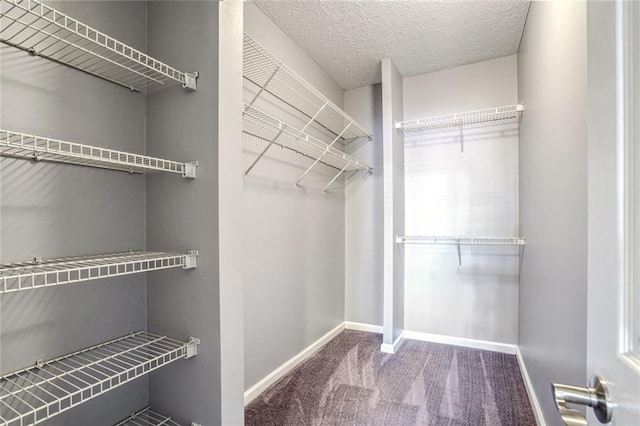 spacious closet with carpet