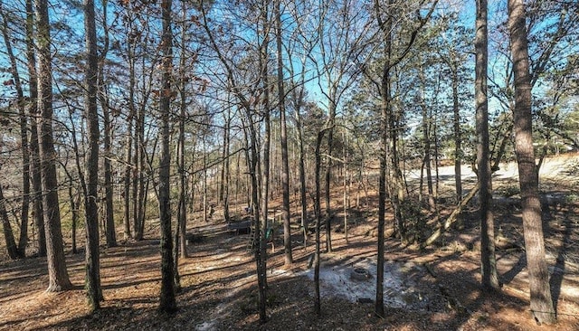 view of local wilderness