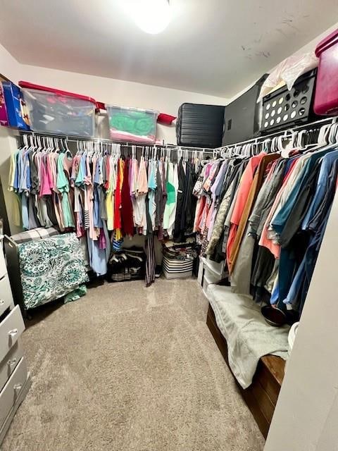 spacious closet featuring carpet flooring