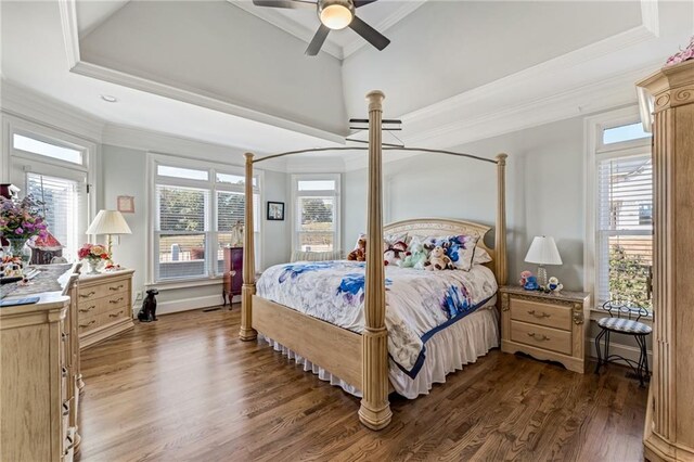 bedroom featuring dark hardwood / wood-style flooring, multiple windows, a tray ceiling, and ceiling fan