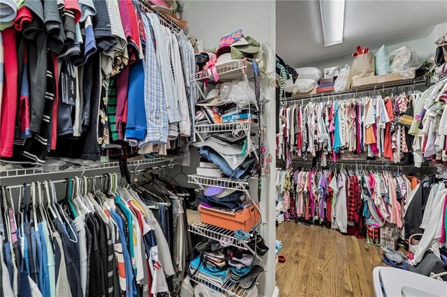 spacious closet with hardwood / wood-style flooring