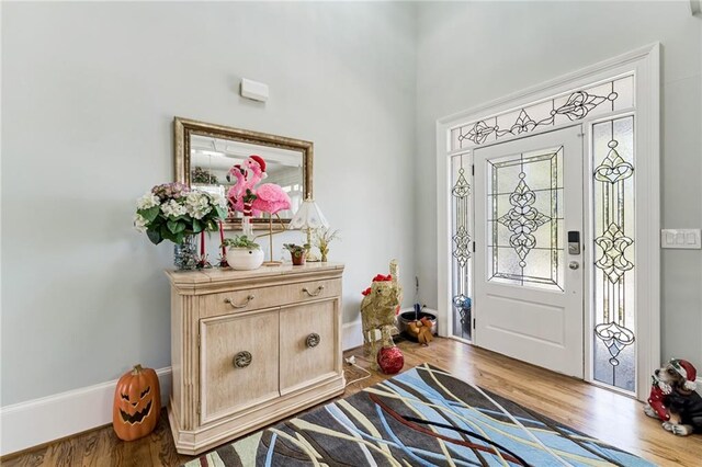 foyer with hardwood / wood-style flooring