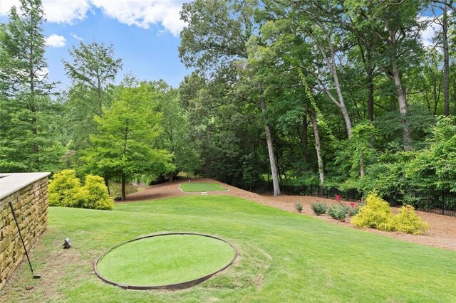 15910 Meadow King Way, Milton, GA 30004 - view of green lawn
