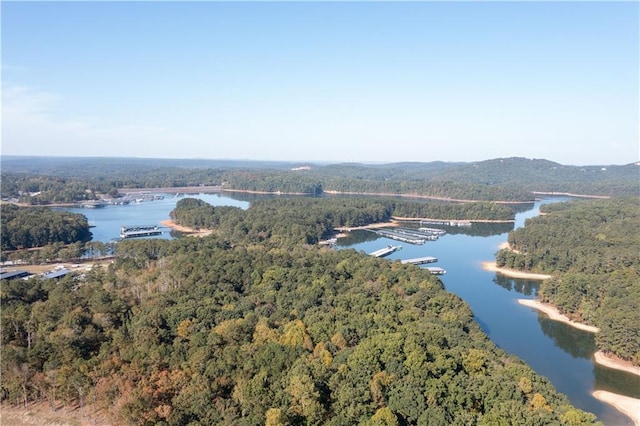 birds eye view of property featuring a water view and a forest view