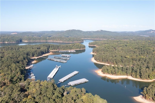 drone / aerial view with a water and mountain view and a forest view