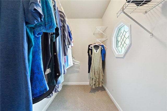 1438 Salem Dr, Alpharetta, GA 30009 - walk in closet with carpet flooring