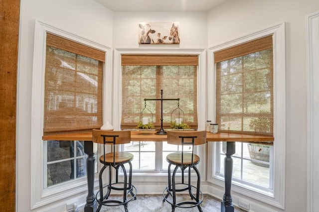 dining area featuring a healthy amount of sunlight