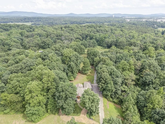 drone / aerial view featuring a mountain view