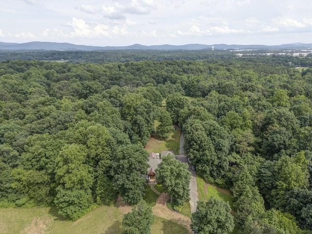 drone / aerial view with a mountain view