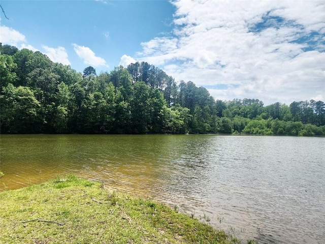 136 Greenock Cv, Toccoa, GA 30577 - water view with a forest