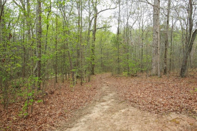 118 Jasmine Way, Carrollton, GA 30180 - view of tree filled area