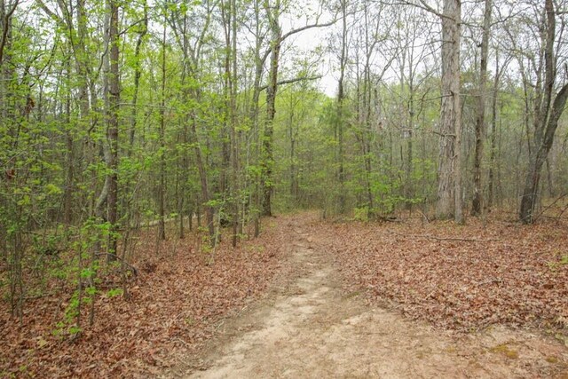 view of wooded area