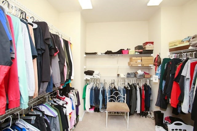 view of spacious closet