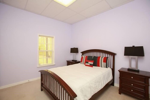 bedroom featuring carpet floors, baseboards, and a drop ceiling