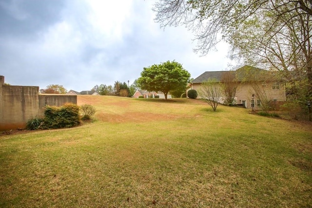 118 Jasmine Way, Carrollton, GA 30180 - view of yard