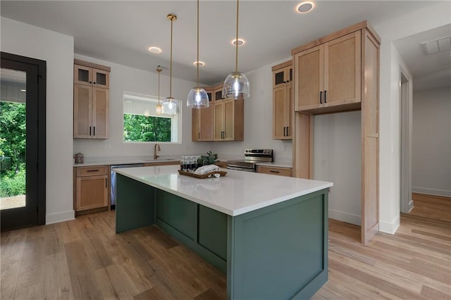 554 Mcdaniel Station Rd SW, Calhoun, GA 30701 - kitchen featuring a sink, stainless steel appliances, light wood-type flooring, a center island, and healthy amount of natural light