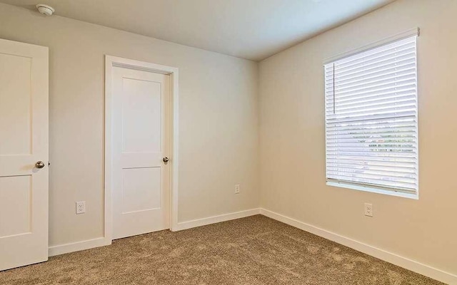 unfurnished room with a healthy amount of sunlight and carpet floors