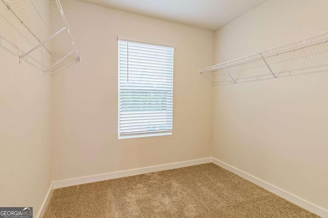 walk in closet featuring carpet