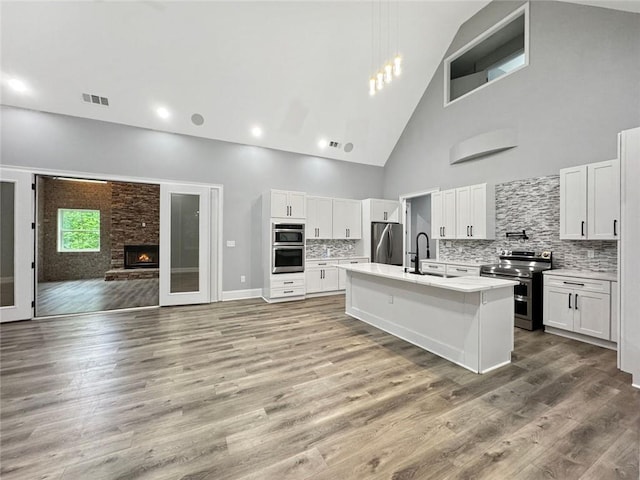 244 Coastline Rd, Fayetteville, GA 30214 - kitchen with appliances with stainless steel finishes, a sink, high vaulted ceiling, open floor plan, and light countertops