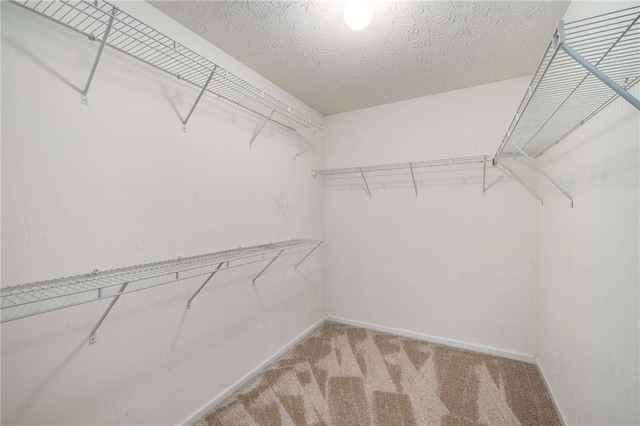 spacious closet with light carpet