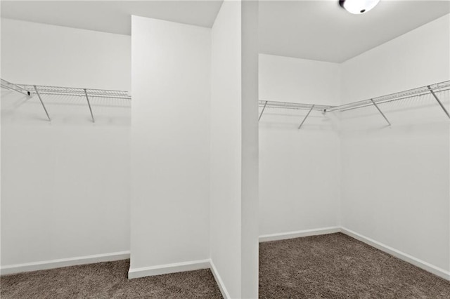 walk in closet with carpet