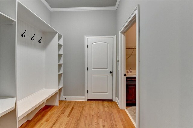 5195 Stefan Ridge Way, Buford, GA 30519 - mudroom featuring ornamental molding, light wood finished floors, and a sink
