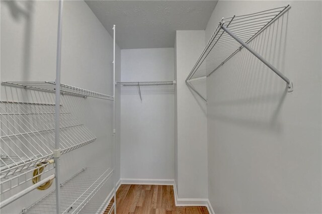 walk in closet with hardwood / wood-style flooring